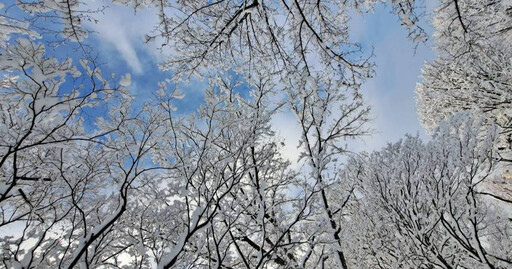 「大雪」來臨 開運方法大公開