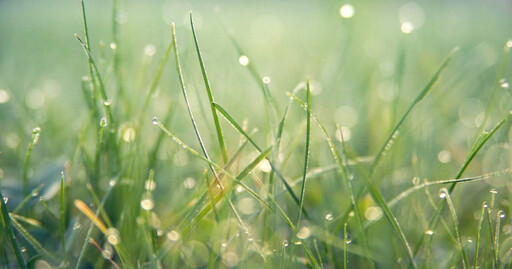 二十四節氣「穀雨」到來 命理師提醒慎防「血煞」