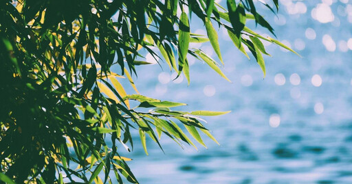 5/5立夏節氣到!命理師公開5禁忌、2習俗不可不知