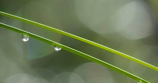 二十四節氣「白露」即將到來 命理師曝光六大禁忌