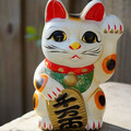 大樂透1注獨得獎落台中 收編浪浪竟成招財貓