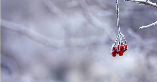 11/22迎小雪大轉運 命理師親揭開運黃金10分鐘「1杯水納財」