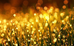 水星逆行回天蠍 4大星座注意！命理師勸放慢腳步