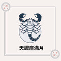 2025/5/13【天蠍座滿月】擁抱陰影，蛻變重生