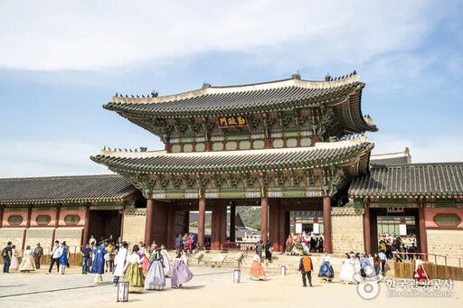 櫻花季開跑!3大夢幻賞櫻勝地公開 專家建議健康防護必不可少
