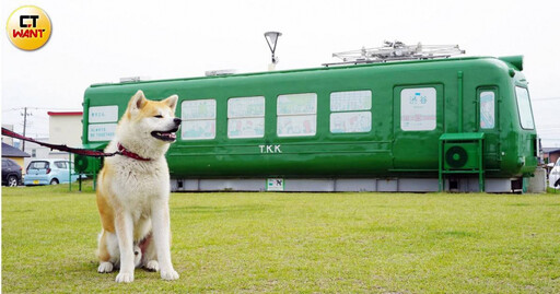 夏遊秋田1／細數在地3大印象 從秋田犬、日本百景、傳說祭儀認識秋田