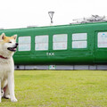 夏遊秋田1／細數在地3大印象 從秋田犬、日本百景、傳說祭儀認識秋田