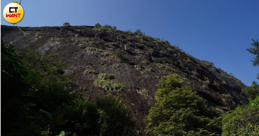 茶鄉南平2／6株大紅袍保費1億人民幣 「萬里茶道」從武夷山到俄羅斯