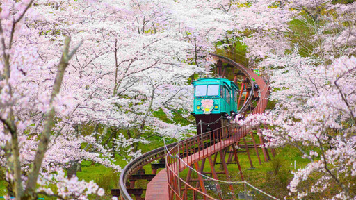 櫻花季、大阪世博會接力登場 迎接日本關西旅遊旺季 手刀預訂住宿單筆最高折2萬日圓