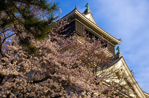 櫻花季、大阪世博會接力登場 迎接日本關西旅遊旺季 手刀預訂住宿單筆最高折2萬日圓