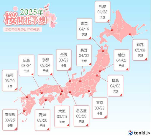 日本櫻花季即將來臨 這2地3月20日就能賞花