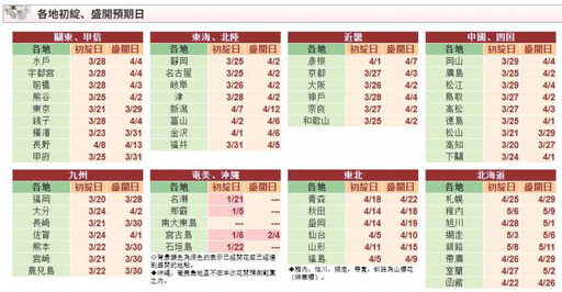 日本櫻花季即將來臨 這2地3月20日就能賞花