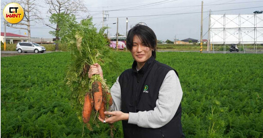 府城花正開2／學甲蜀葵花爭奇鬥豔 將軍木棉花接力報到、拔紅蘿蔔體驗3/29登場