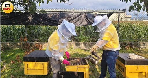 台南山區這樣玩2/前進東山全新打卡點 觀光工廠聞蜜香、有機農場採杏鮑菇