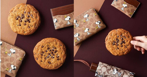 Snoopy療癒萌力無法擋 精品推聯名甜點、飲品 台味蛋捲高空品嘗