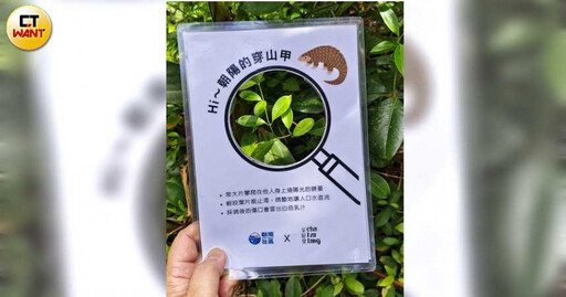 探訪宜蘭小秘境1/親山靠海的金牌農村這樣玩 走步道尋穿山甲蹤跡 生態體驗、藝術手作找樂子