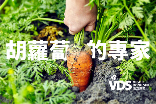 熱銷日本的雲林東勢五彩胡蘿蔔製成！VDS活力東勢推出「新春限定黃金組合」