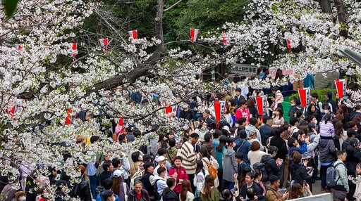 類似歐洲,亞洲面臨過度旅遊問題