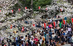類似歐洲，亞洲面臨過度旅遊問題