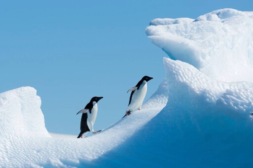 一起守護地球最後一塊淨土一南極