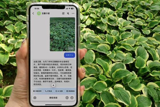 未來旅遊新革命!大陸遊客解鎖「AI+旅行」新模式