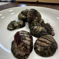 潮間帶隱藏海味 東北角「鐵甲」石鱉鮮甜登場