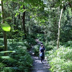中市雪山坑登山步道完工 打造原民文化與生態深度體驗
