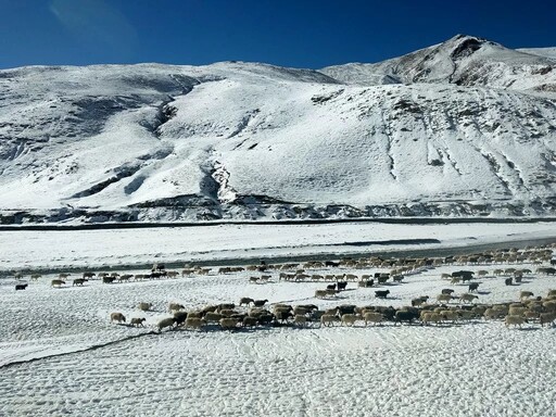 一覽藏北高原的壯闊雪景 悠閒感受西藏跨年、藏曆新年氛圍