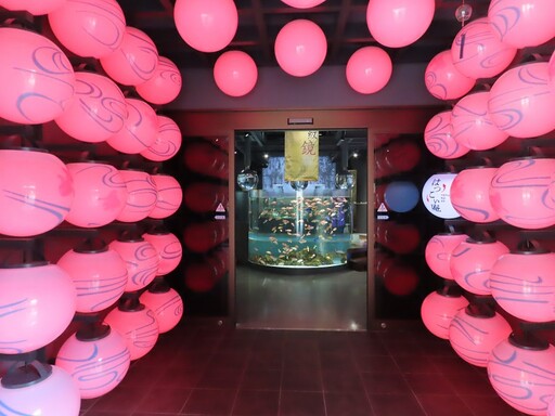 日本廣島人氣親子景點全搜 訪宮島水族館超萌江豚、搭龍貓巴士