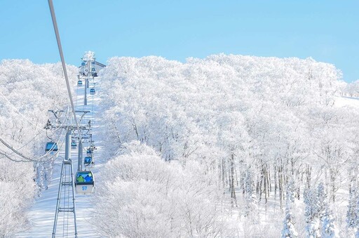 旅天下雙12挑戰市場最低價！12/12機票、跟團買1送1，日本函館賞櫻、東北樹冰、韓國釜邱5日11,212元起