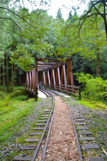 穿梭百年山林歲月 飽覽阿里山沿途風光