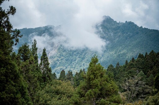 福森號司機員視角 推薦阿里山私房秘境