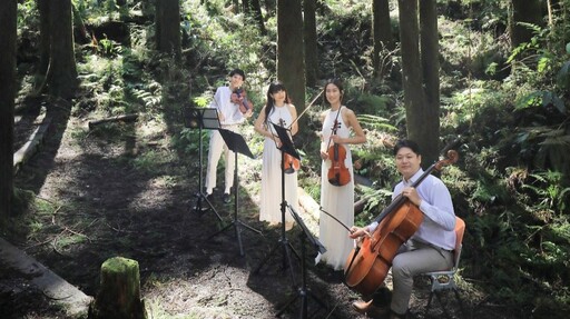 伴隨晨光鳥語蟲鳴 沉浸在森林音樂饗宴中