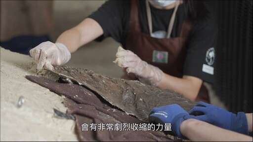 海中飛行巨星 全台第一尾大型鬼蝠魟真身翱翔海科館