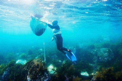 到濟州看海女、釜山全羅南道現採鮑魚!台韓強強聯手,玩出最潮ESG永續旅遊