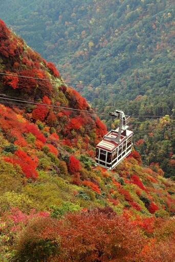 長崎秋日最美紅葉景點4選