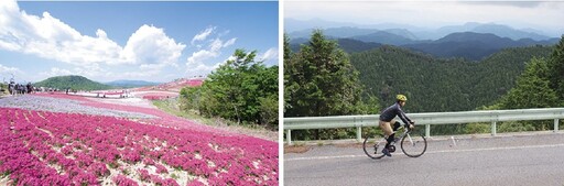 美哉！奧三河單車路線，騎過最浪漫的粉櫻花毯！