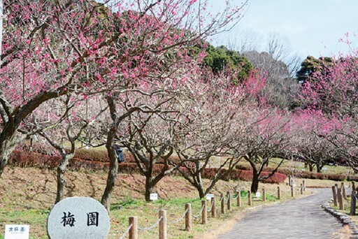 日本騎單車朝聖千狐石像，上一堂豐川歷史課！
