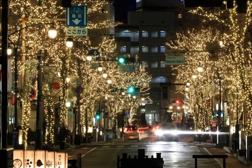 日本國寶「松本城」首辦雷射聲光秀！松本市彩燈節12月璀璨登場