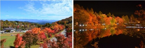 愛知縣最高峰絕景必看！茶臼山高原的紅葉和芝櫻不容錯過！