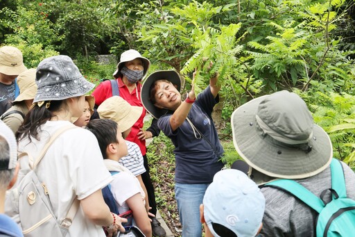 夏日山林化身賞蝶秘境! 大坑限定活動5/12開放報名