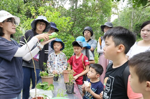 夏日山林化身賞蝶秘境! 大坑限定活動5/12開放報名