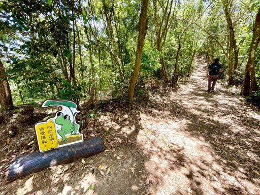 跟著布朗青蛙去旅行! 中市觀旅局力邀民眾探索大坑5-1號手作文學步道