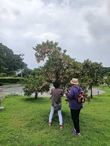 裙襬搖搖 新生公園水石榕上演芭蕾圓舞曲