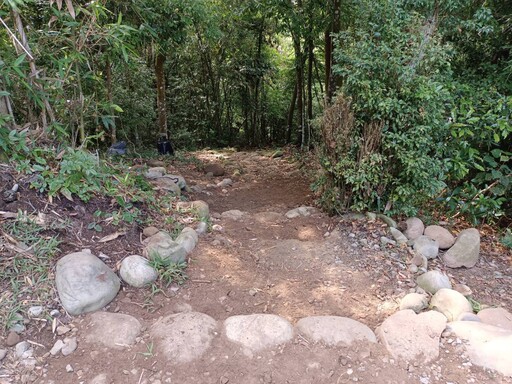 大坑5-1號手作文學步道走出減法美學之路 中市觀旅局:打造友善自然的登山體驗