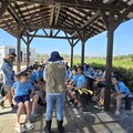 高美濕地露營場優化中 中市建設局暑期推出「高美最美」生態導覽