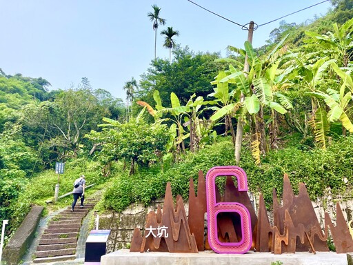 登仙境、賞生態、嚐美食！ 中市觀旅局邀民眾走進大坑6號仙境步道