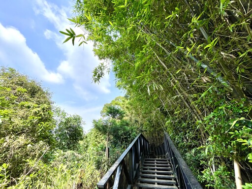 登仙境、賞生態、嚐美食! 中市觀旅局邀民眾走進大坑6號仙境步道
