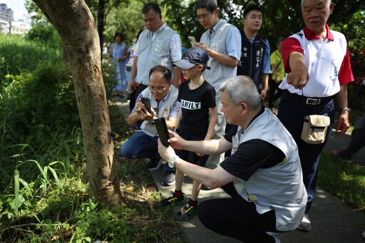 頂庄獨角仙秘境 「獨嘉」推薦 生態饗宴親子共遊