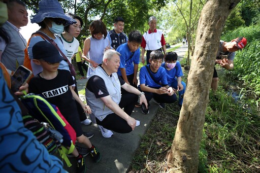 頂庄獨角仙秘境 「獨嘉」推薦 生態饗宴親子共遊